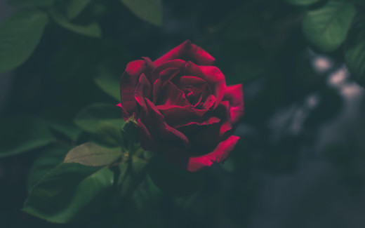 1147918 (a): :2560x1600